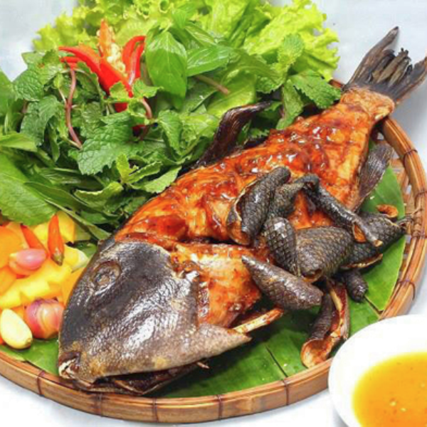 Cá giáp giá sỉ
