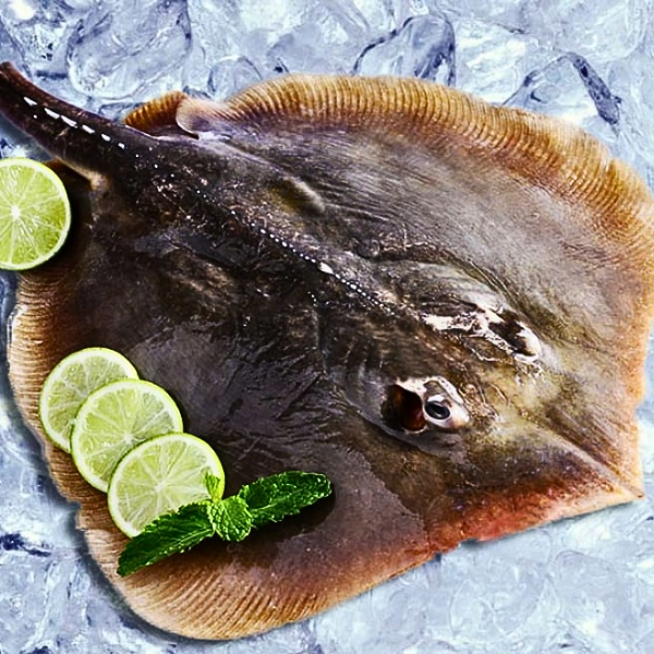 Khô cá đuối sỉ