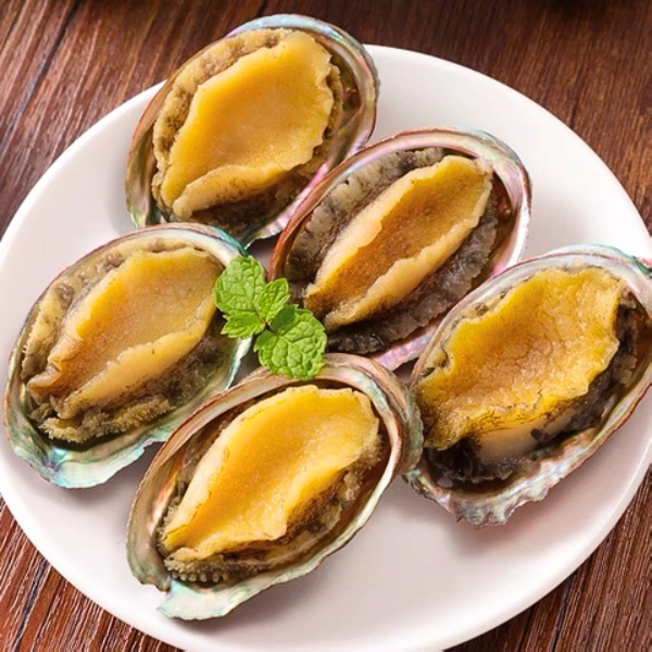 bào ngư Thượng Hải giá sỉ