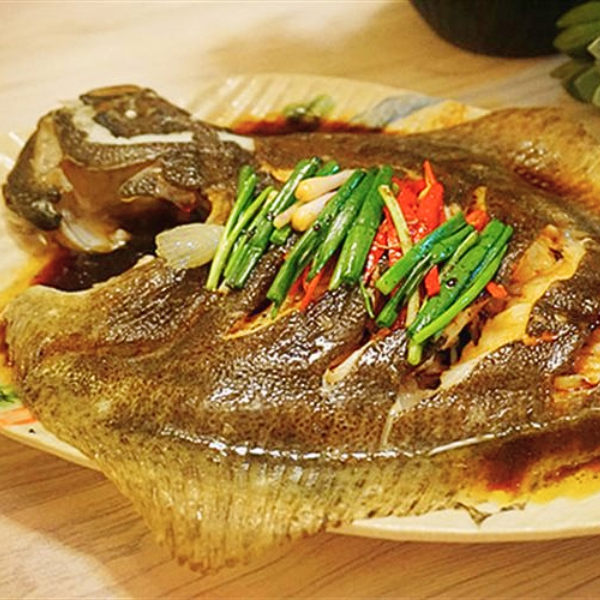 cá bơn Hàn Quốc giá sỉ
