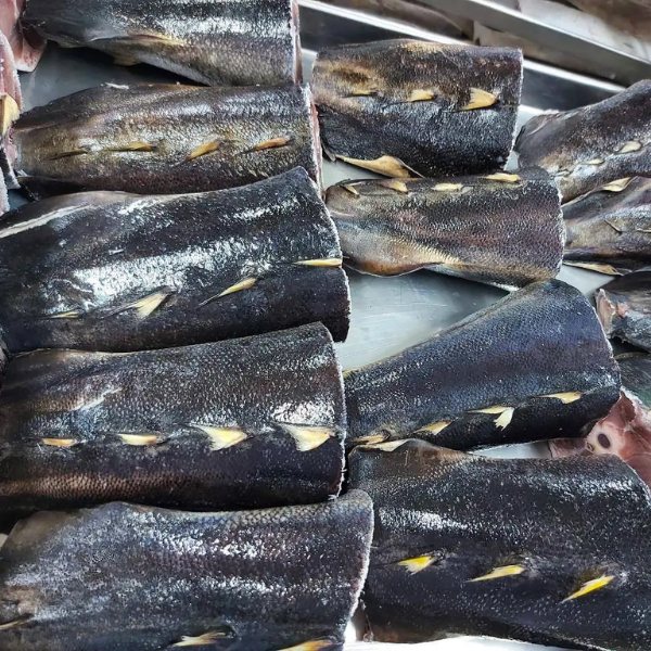 đuôi cá ngừ đại dương giá sỉ