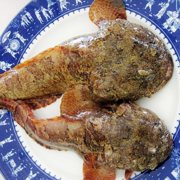 Khô cá mao ếch giá sỉ