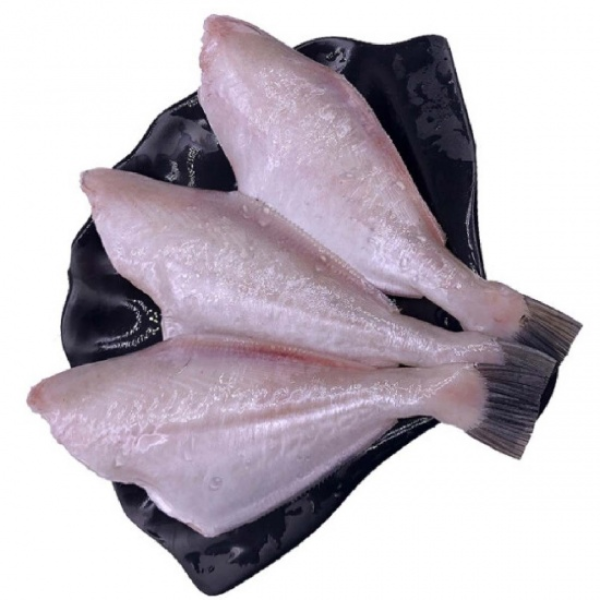 Cá bò da làm sạch giá sỉ