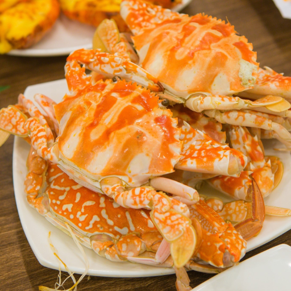 Ghẹ ngộp giá sỉ
