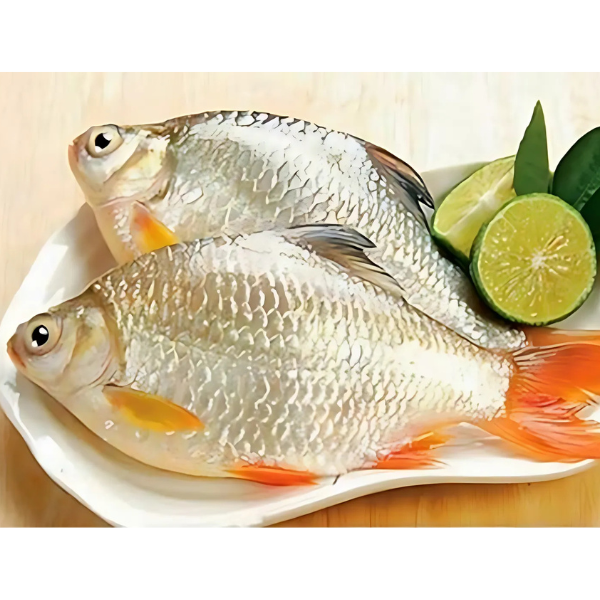 Cá mè hôi giá sỉ